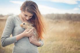 girl in field with rabbit